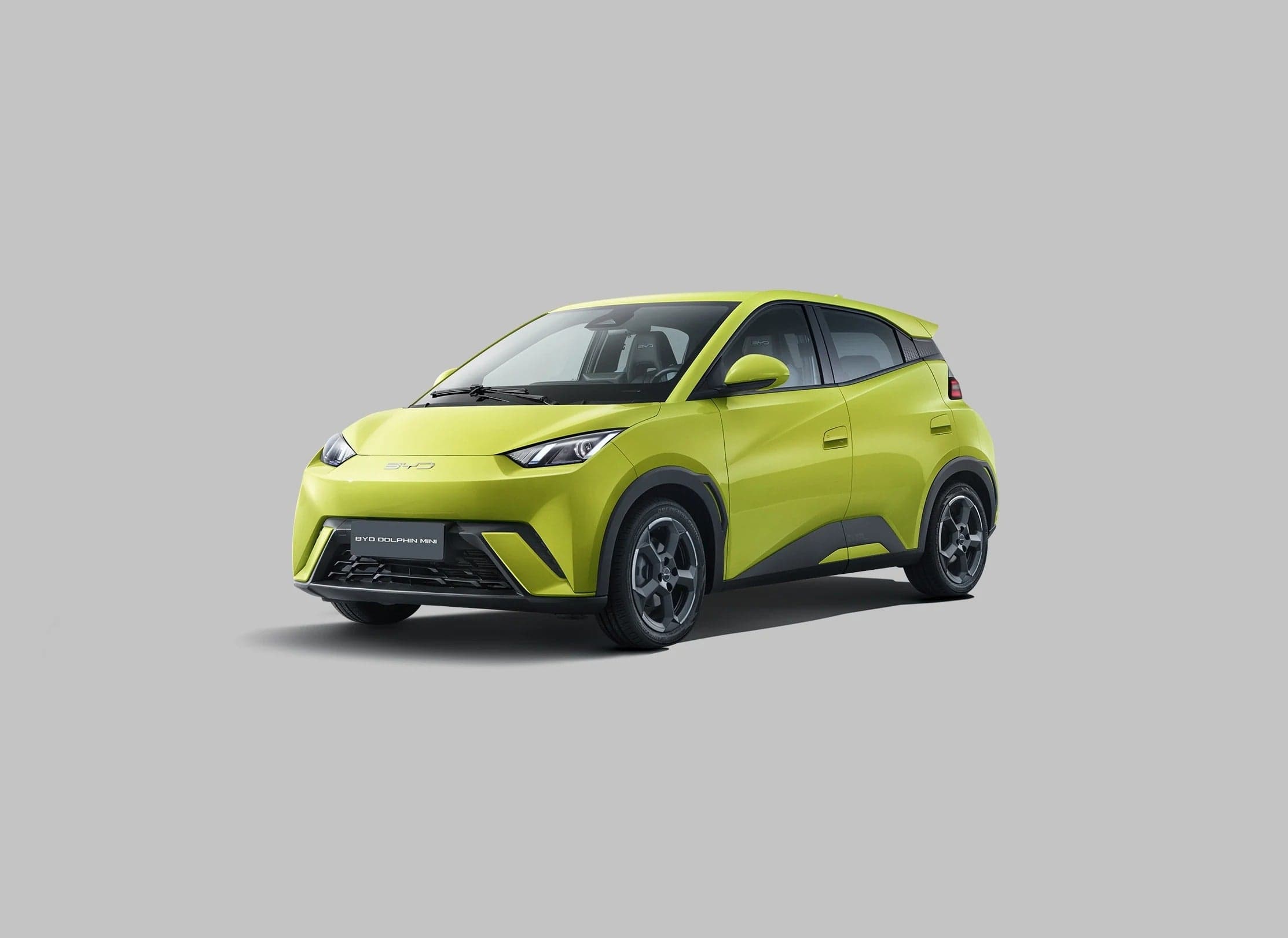 Flotilla BYD Dolphin Mini
